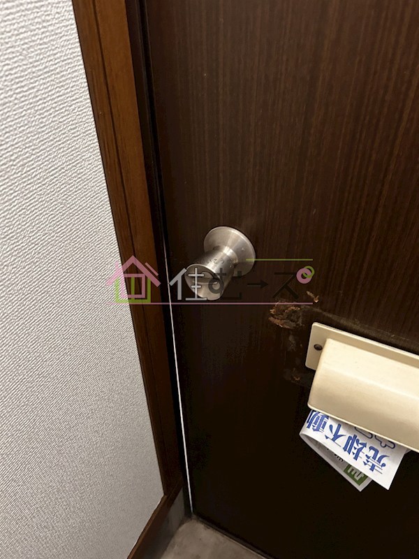 清水文化 その他2