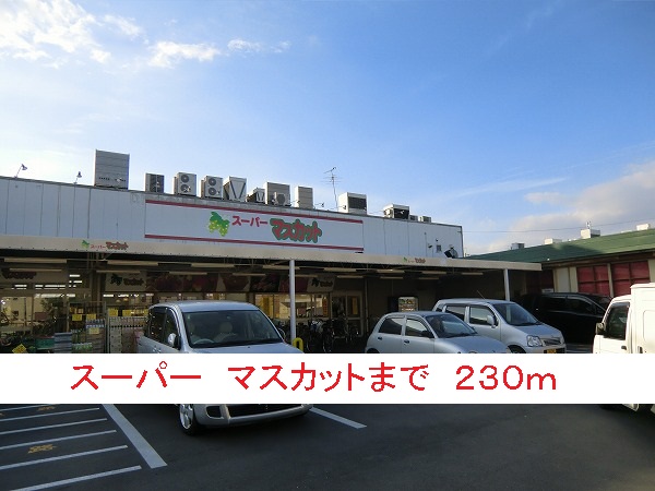 クリスタル　メゾンⅡ その他外観3