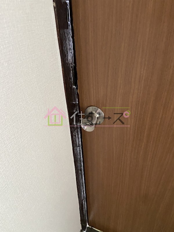 RIZE山の王様 その他4