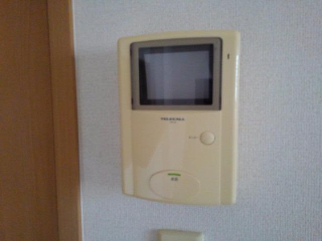 ダイアナヒル その他5