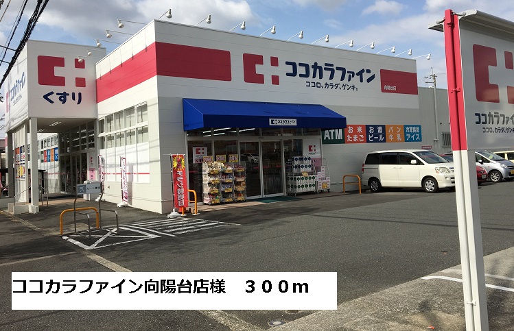 ダイアナヒル その他外観3