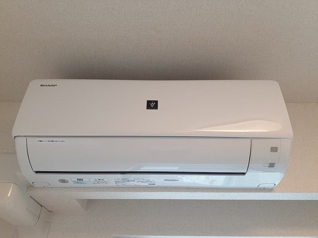 プラシード その他4