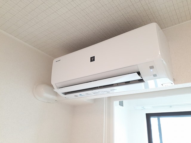 バーミィ その他4