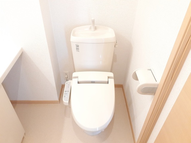 フレグラントオリーブ その他2
