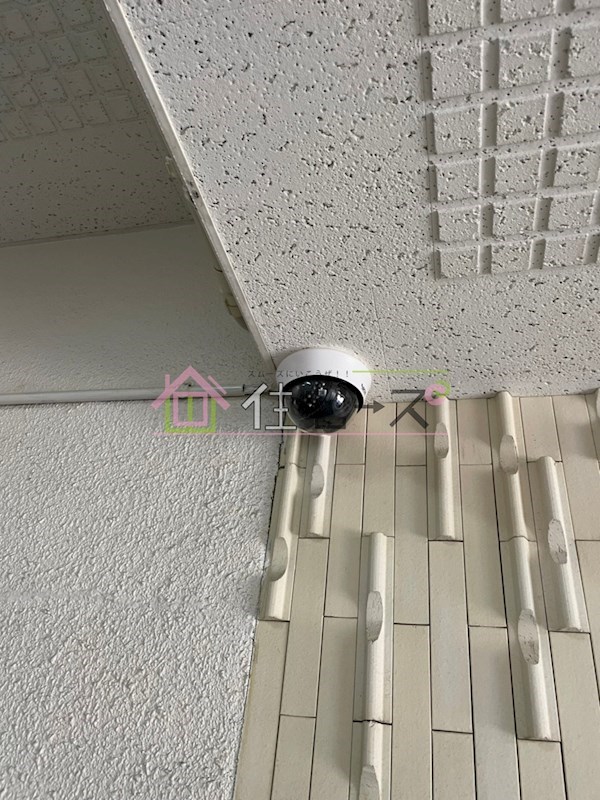 パール住吉 その他外観4