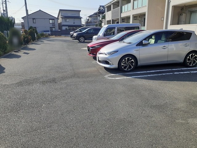 コージーキャトルズ仲蔵 その他6