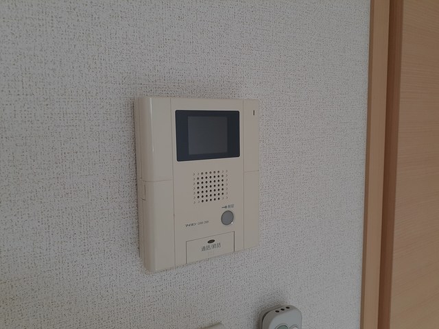 ホメ　ラウレア その他6