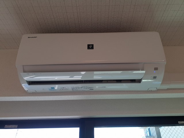 ココ　シュシュ その他3