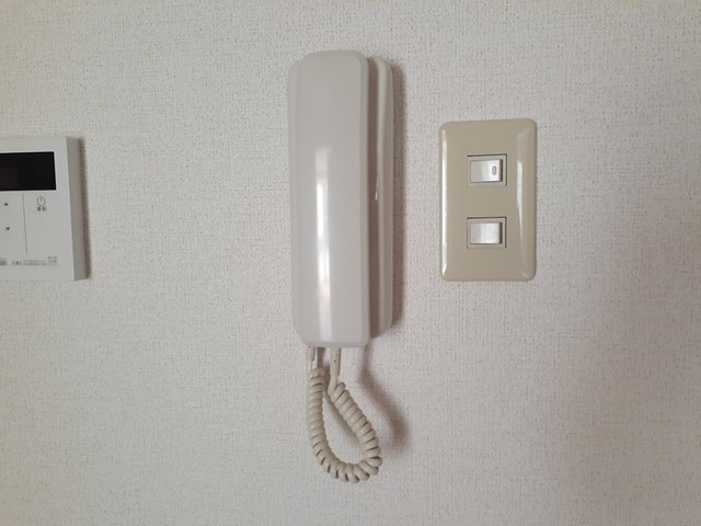フィエルテ その他4