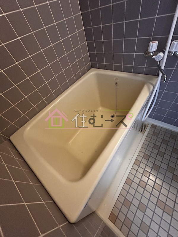 アンヘルム杭全 風呂画像