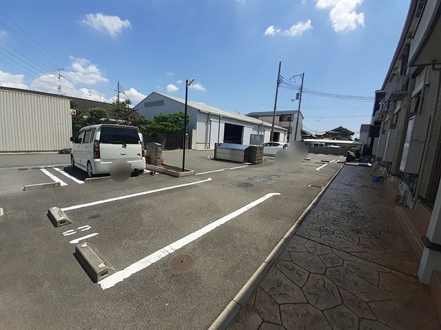 パイン・ツリー その他5