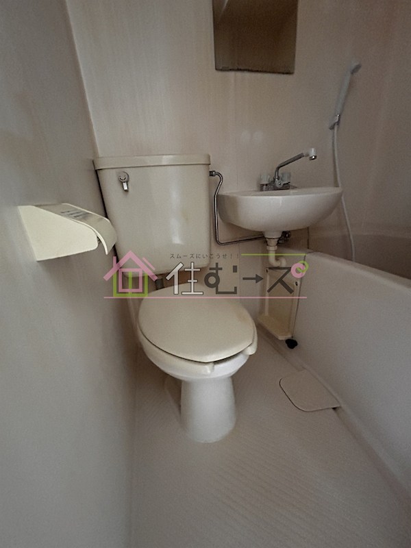 シロハイヌ千代崎 その他4