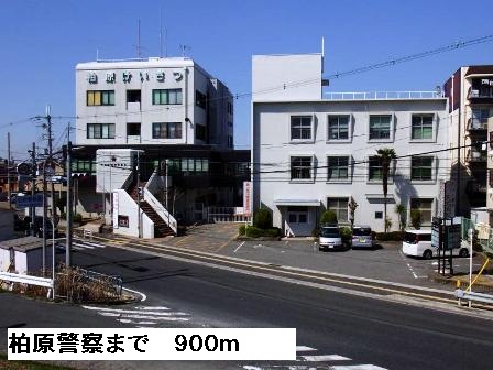 セレノ　アロッジオⅦ その他外観5