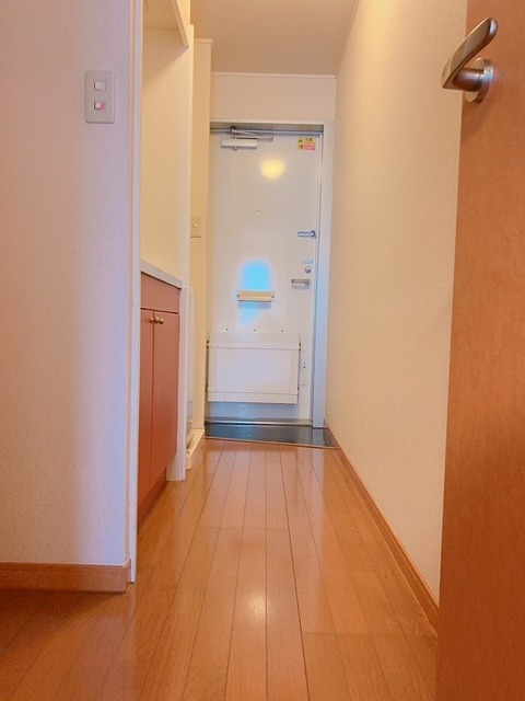 レオパレスＣｈｅｚ　ｍｏｉ　Ｎ 玄関