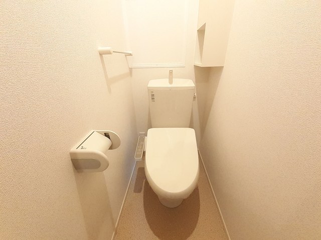 アルビコッコ その他5