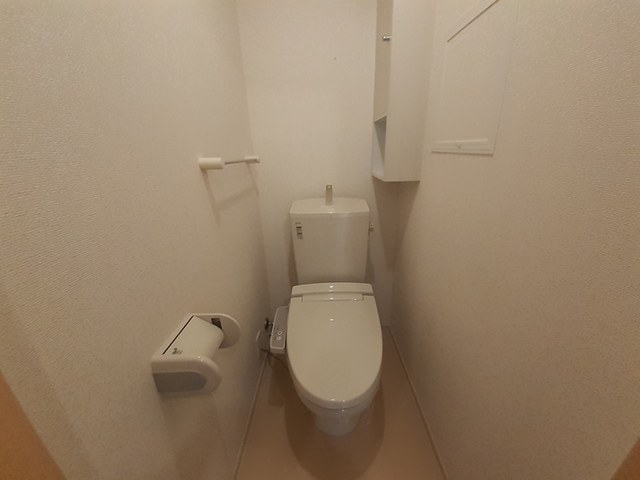ひまわり その他1