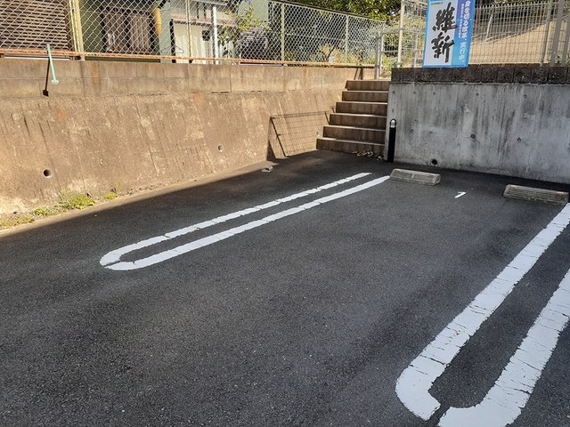 ひまわり その他7
