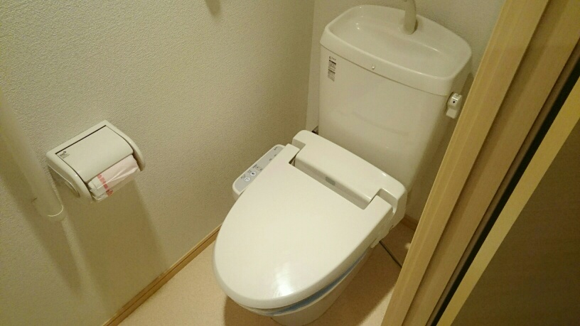 Ｐｏｌａｒ　ｓｔｏｎｅ その他5