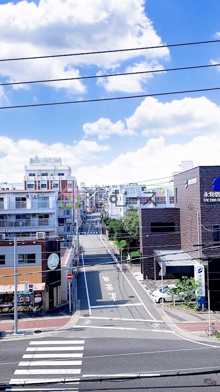 Grand Corp Cattleya その他5