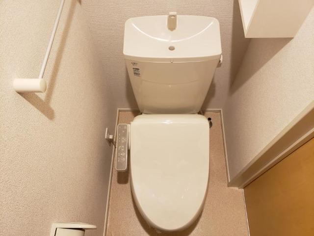 コトン　ヴァリ その他2