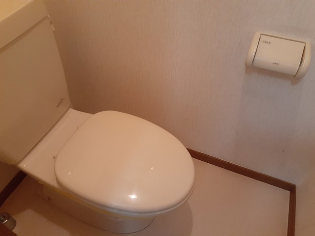 ステッラⅢ その他2