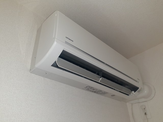 ブル－ロ－ズ その他3
