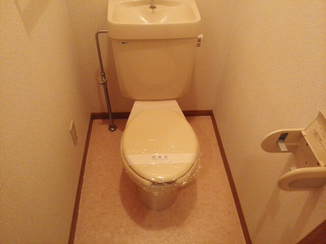サンコスモス その他6