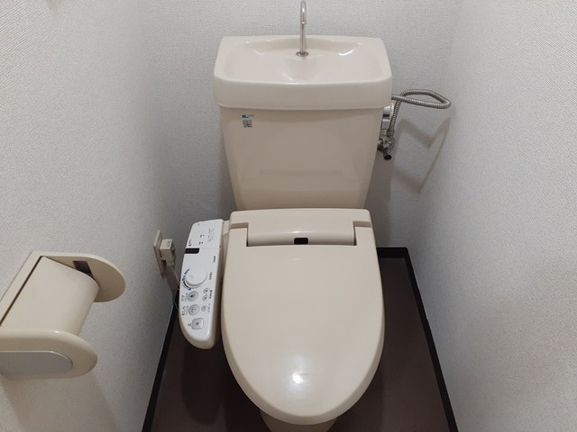 ワイエムカリヤ その他2