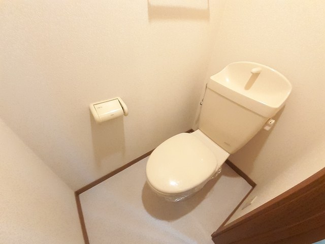 ステッラⅠ その他2