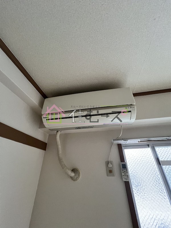 Sun corpo その他2