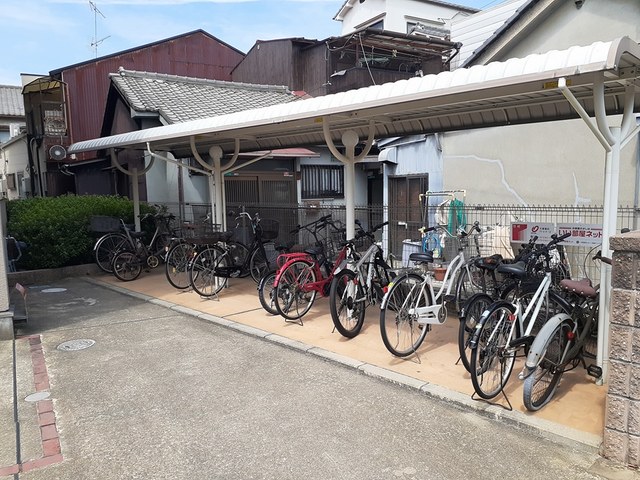 チェリーブロッサム その他6