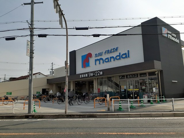 ストレリチア　ジャンセア その他外観2