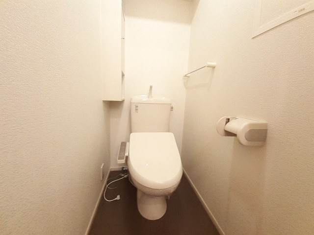 プリムラ　ＴＫ０１ その他5