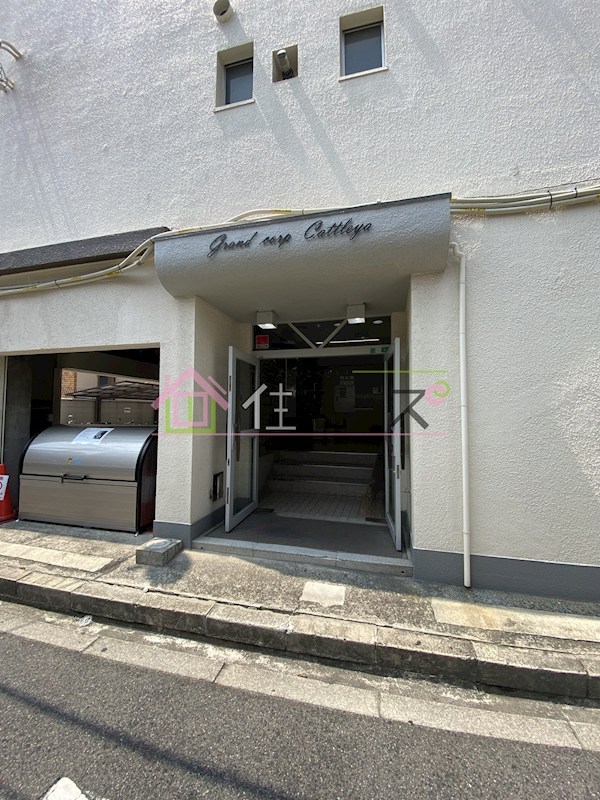 Grand Corp Cattleya その他1