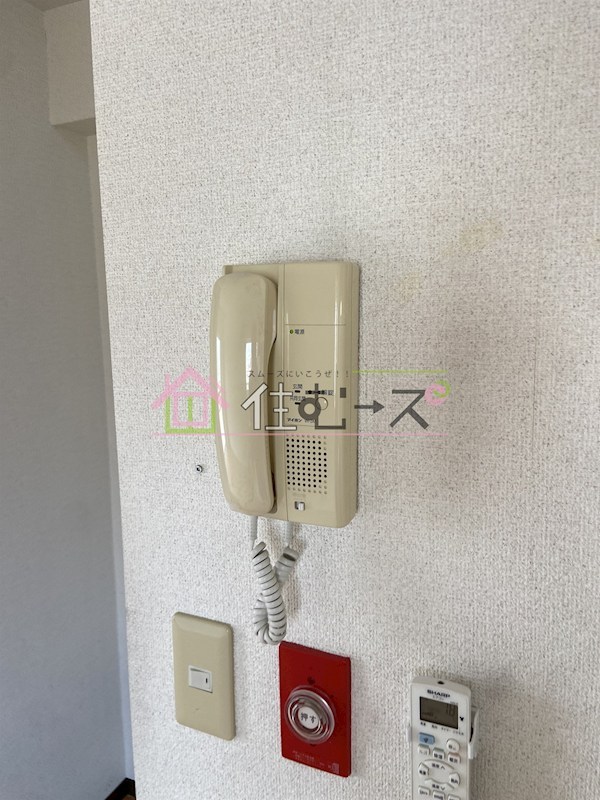 Grand Corp Cattleya その他4