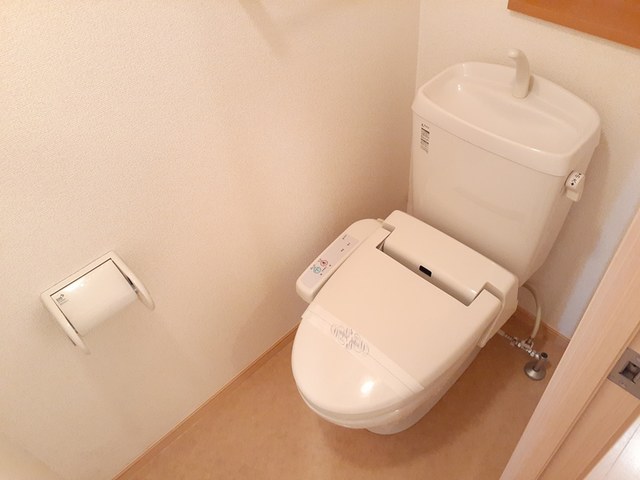 ネオカーサ その他2