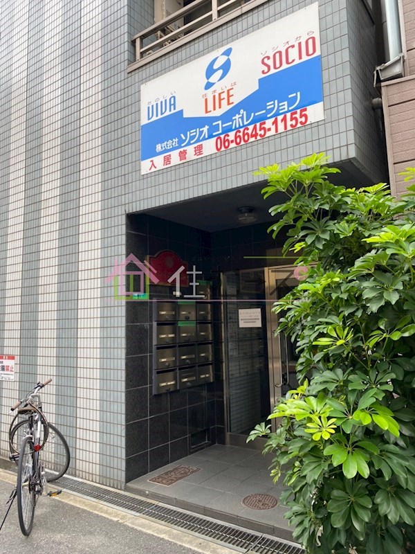 ソレイユ朝潮 その他1