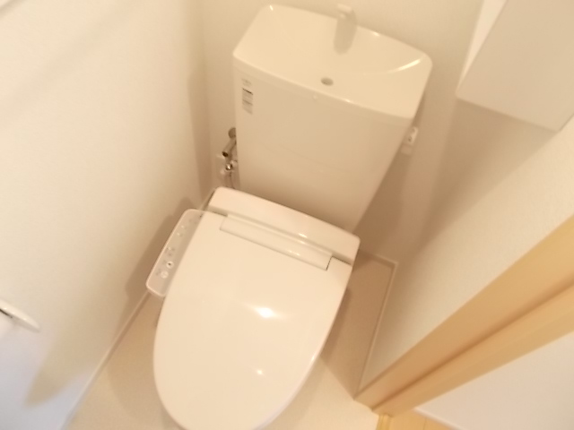 サイプレス　Ⅰ その他5