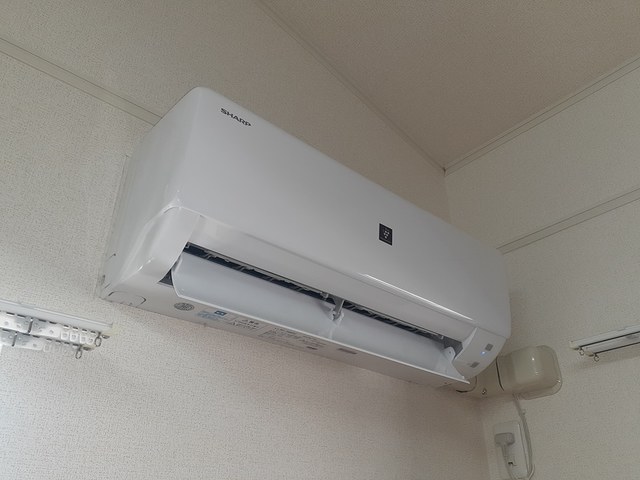 ブライト　ホルン その他3
