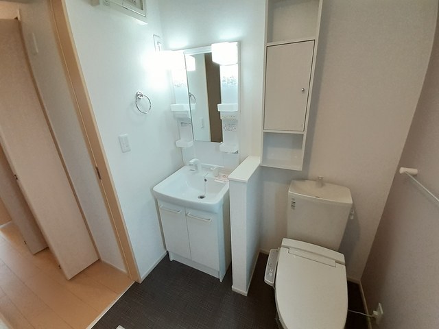 アプリコット その他1