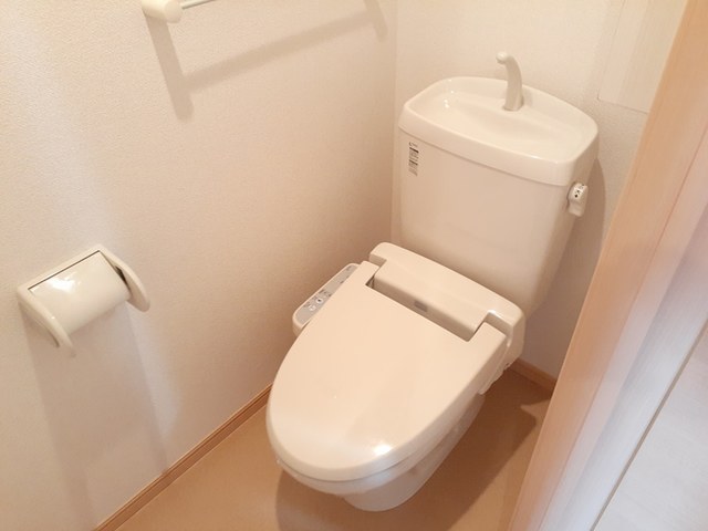 プラシード その他2