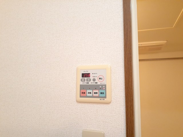 フォーチュン その他6