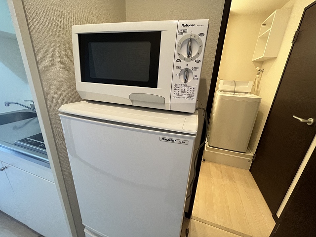 レオネクスト杉 その他10