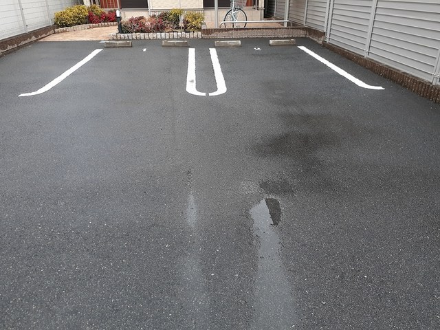 フェリオ津久野 その他8