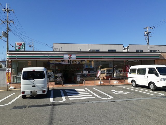 ストレリチア　ジャンセア その他外観3