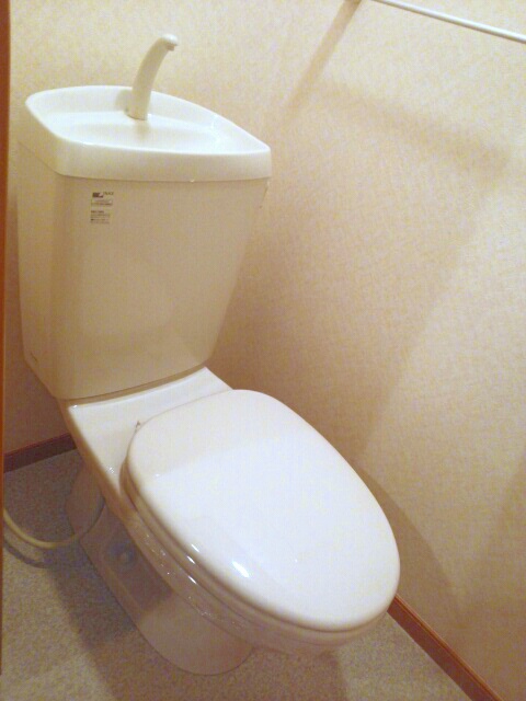 エクセルシス その他3