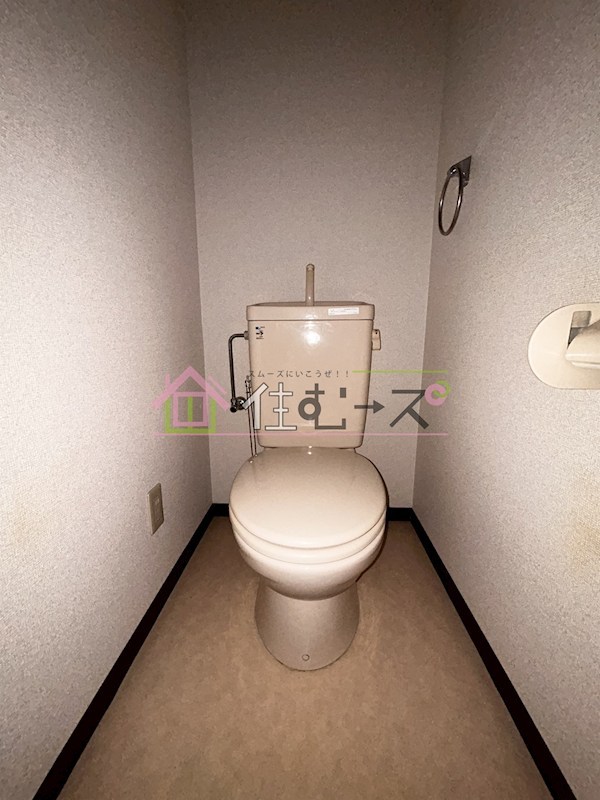 Venticello京町 その他4