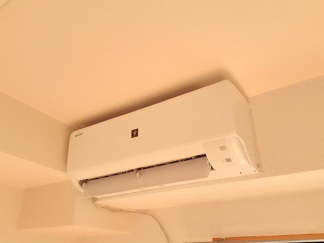 サンフィールド その他1