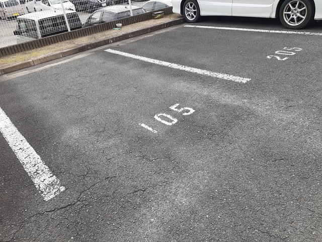 エバーグリーン その他7