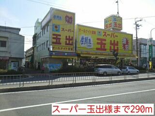 ジュネス５番館 その他外観5
